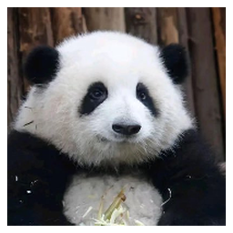 HUA HUA