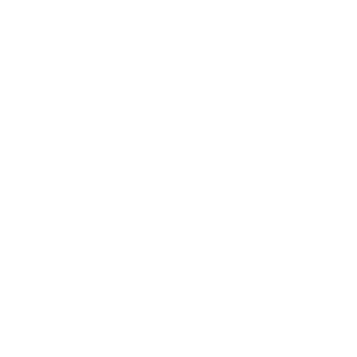 Huyndai Movex