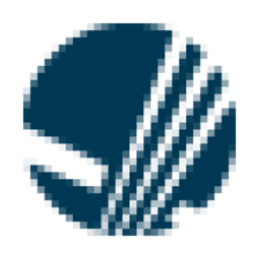 Intl Public Partnership