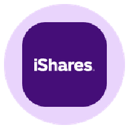 iShares Core S&P Total US Stock Market Tokenized ETF (Ondo)