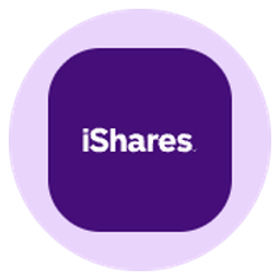 iShares MSCI India Tokenized ETF (Ondo)