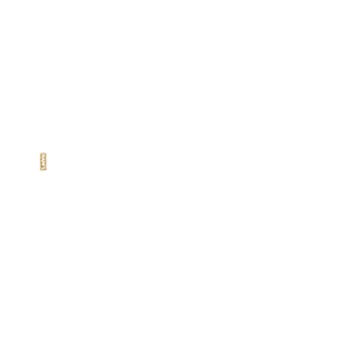 Jinzi Ham A