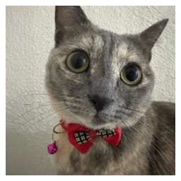 Just Elizabeth Cat