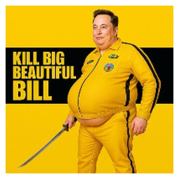 KILL BIG BEAUTIFUL BILL