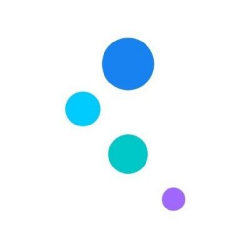 Kingdee Int Software