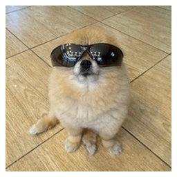 Kori The Pom