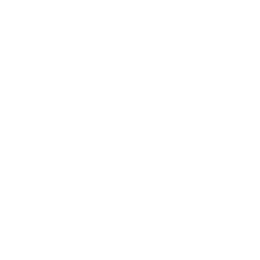 Kuehne Nagel ADR
