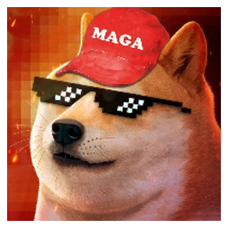 MAGA DOGE