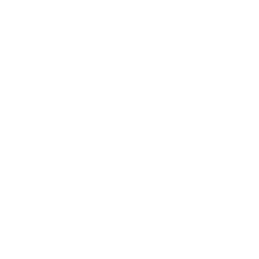 Magnit
