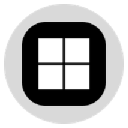 Microsoft Tokenized Stock (Ondo)
