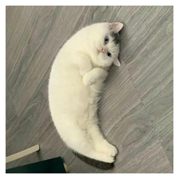 Mooncat