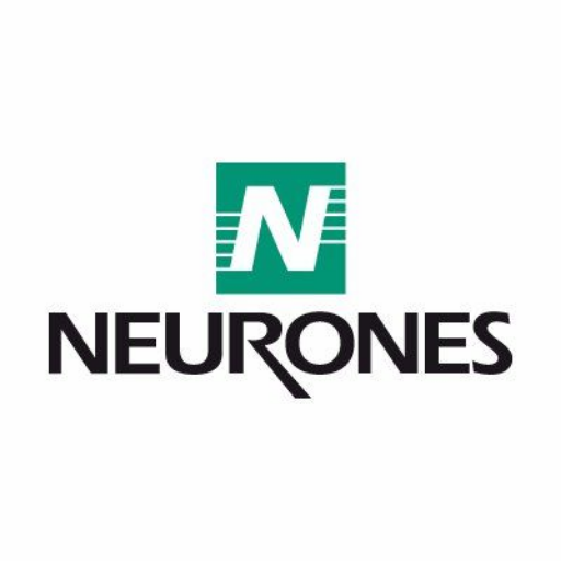 Neurones