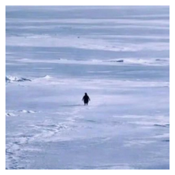 Nietzschean Penguin