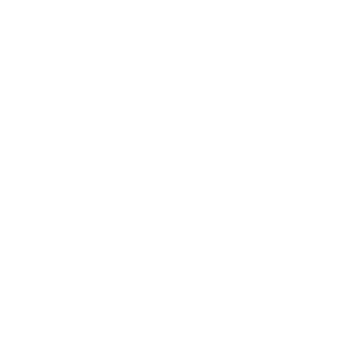 Ningbo Sunrise Elc