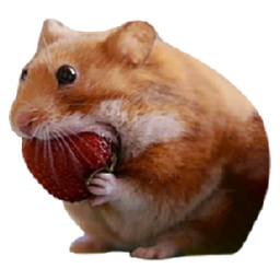 nomnom