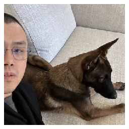 Official CZ Dog