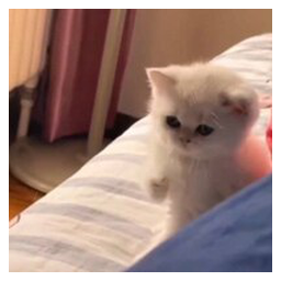 ONE PUNCH CAT