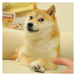 Own The Doge