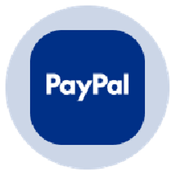 PayPal Tokenized Stock (Ondo)