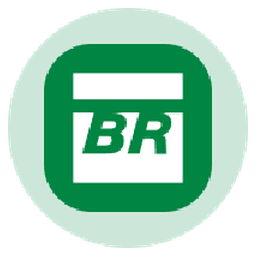 Petrobras Tokenized Stock (Ondo)