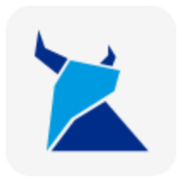 Pin Token
