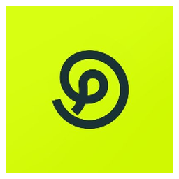 PINs Network Token