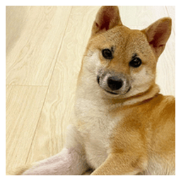 pochita