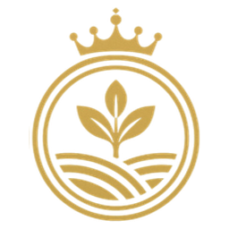 RAI Token