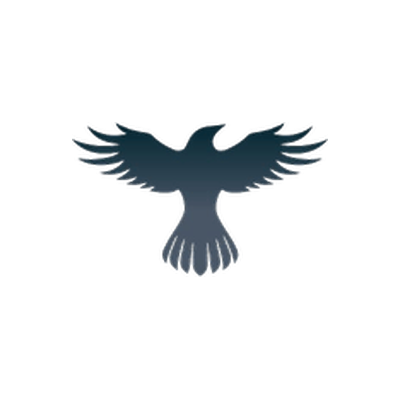Raven Protocol
