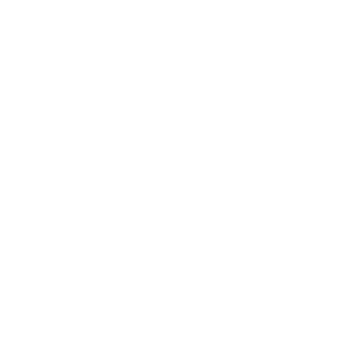 Raytron Technology