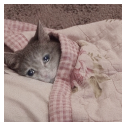 SadCat