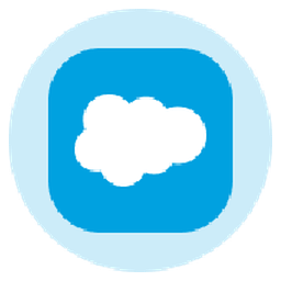 Salesforce Tokenized Stock (Ondo)