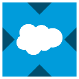 Salesforce tokenized stock (xStock)