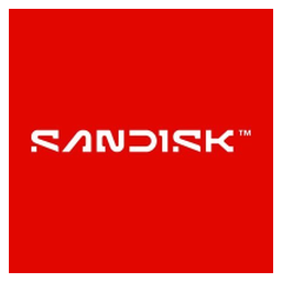 SanDisk Corporation (Derivatives)