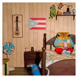 Sapo Concho