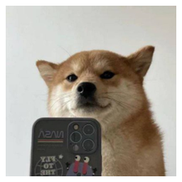 SelfieDogCoin