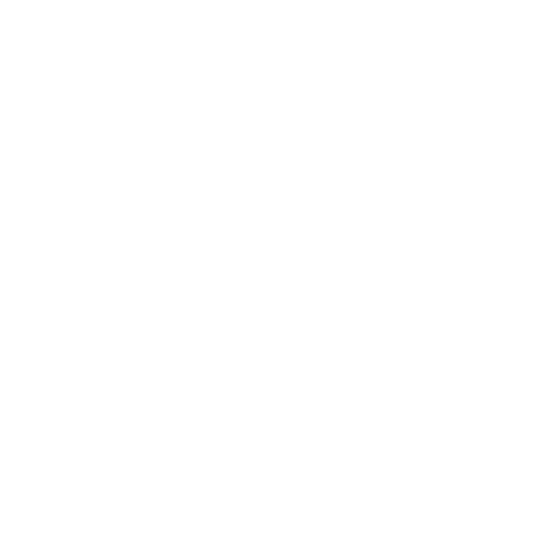 Shandong Xinchao Energy