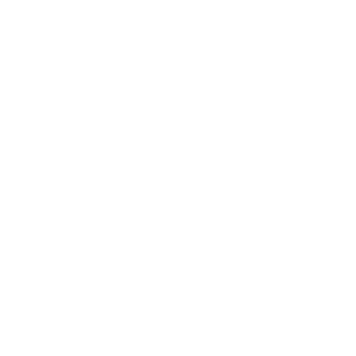Shanghai Baolong Auto