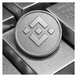 SILVER BNB (New)