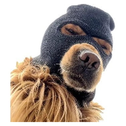 Ski Mask Dog