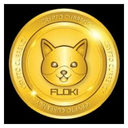 SUPER FLOKI