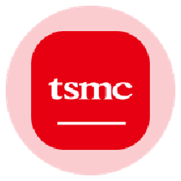 Taiwan Semiconductor Manufacturing Tokenized Stock (Ondo)