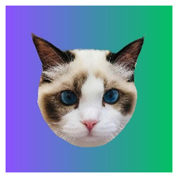 Taylor Swift's Cat BENJI