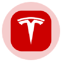 Tesla Tokenized Stock (Ondo)