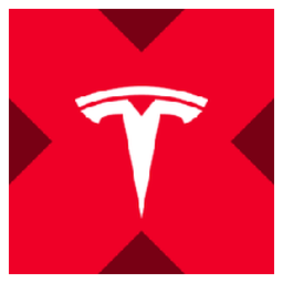 Tesla tokenized stock (xStock)