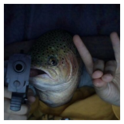 The Big Trout