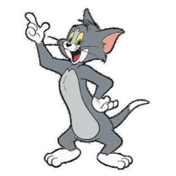 TOM CAT