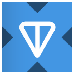 TON xStock