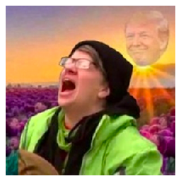Trump Derangement Syndrome (tearsforTDS)