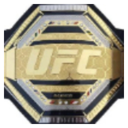 UFC WIN